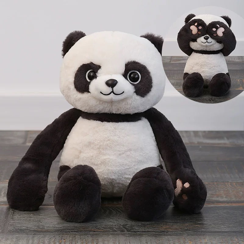 BT | Cute teddy