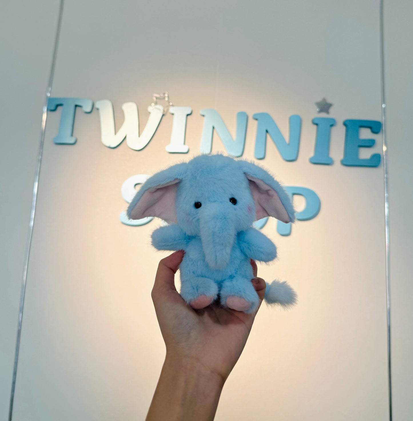 KEY | Elephant keychain