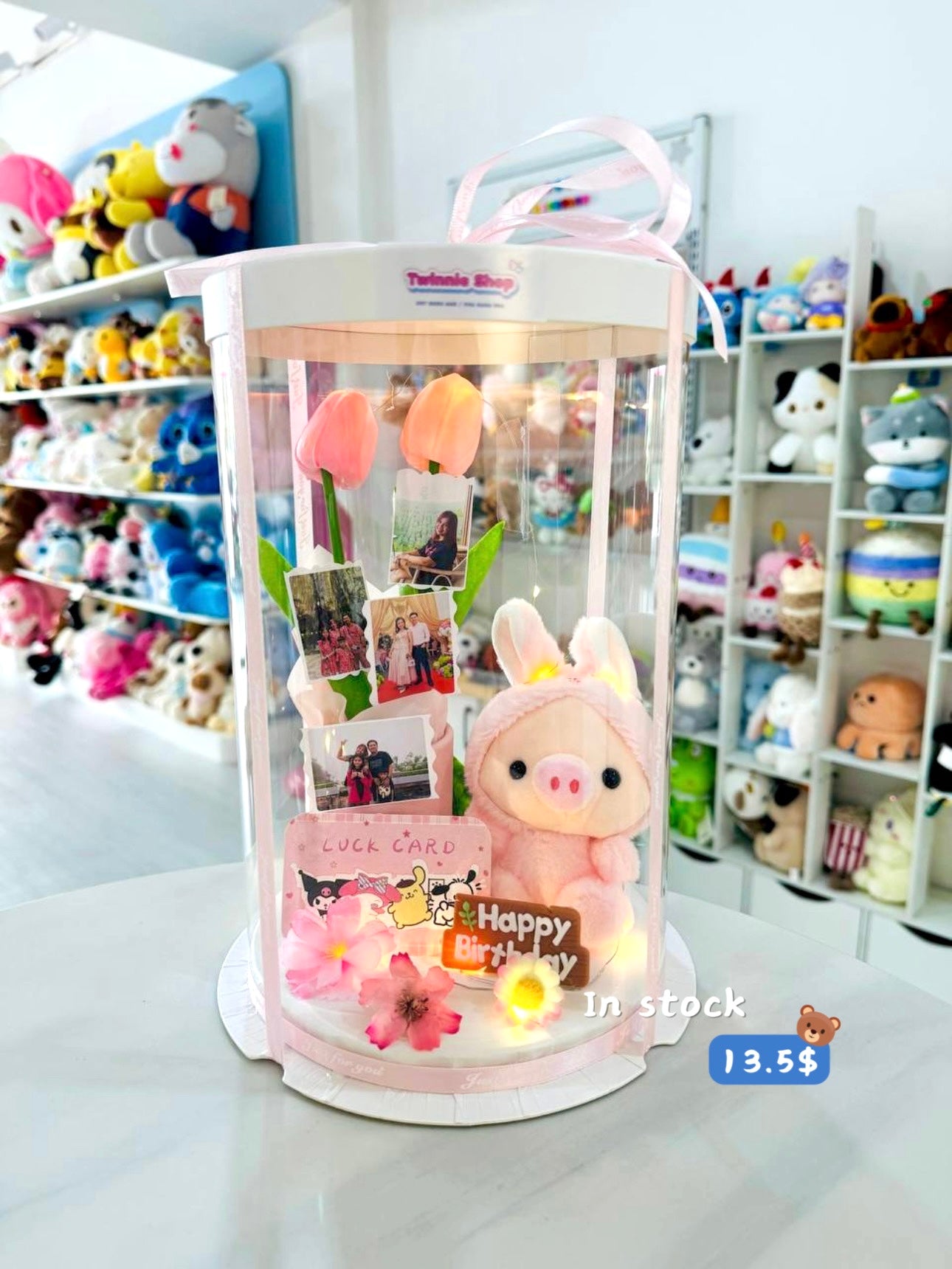 KCB | Piggy birthday photo set