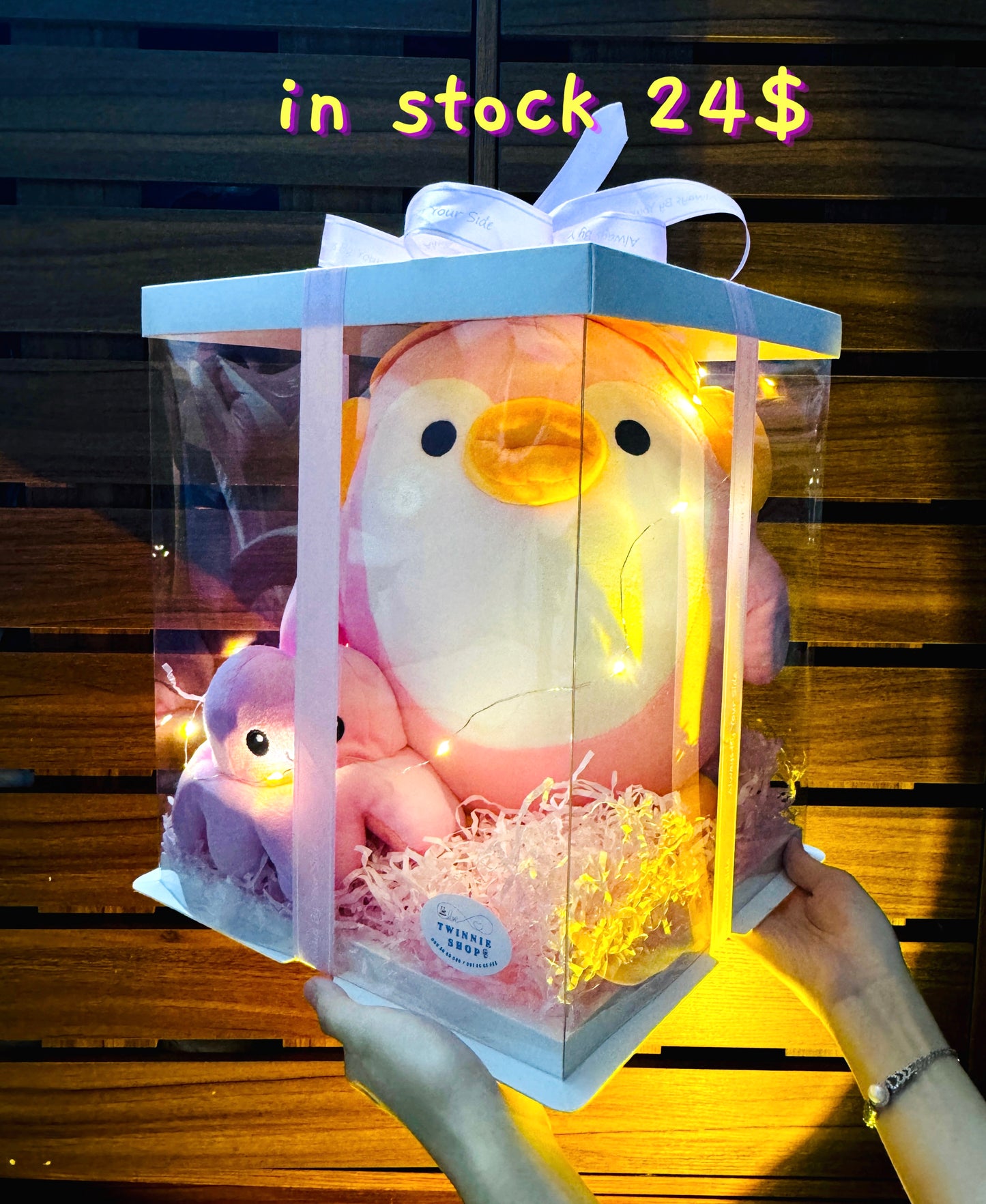 BB | Penguin gift box