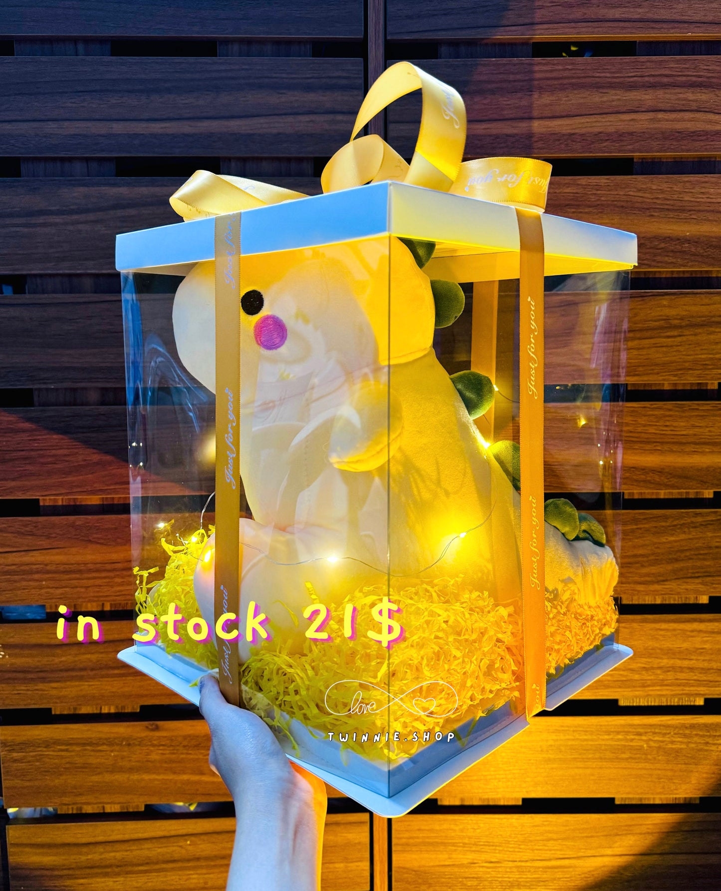 BB | Dinosaur big gift set