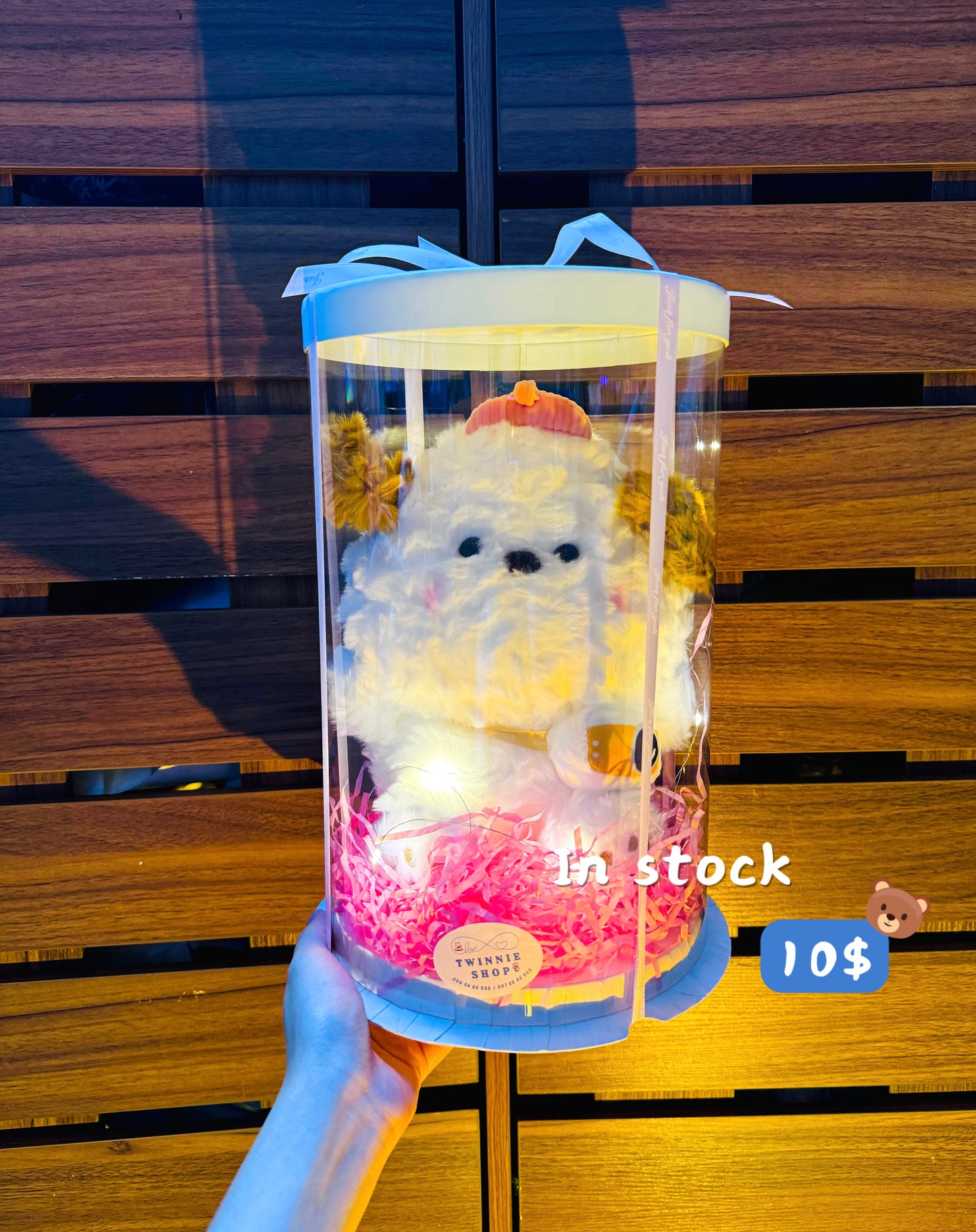 SRB10 | Camera puppy