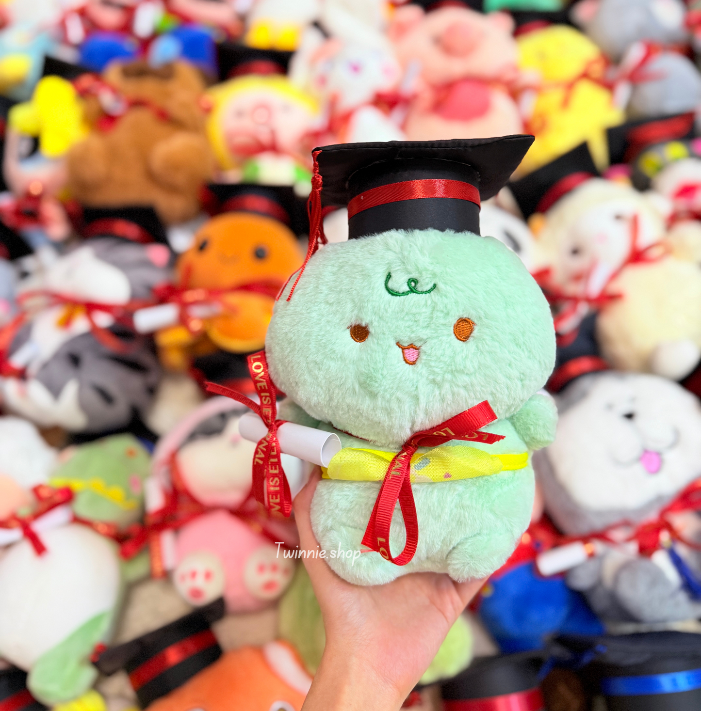 GRASD | Graduate Teddy