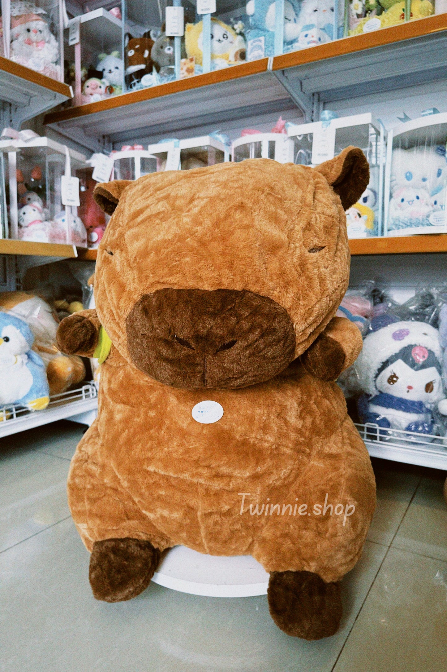 BT | 110cm Capybara