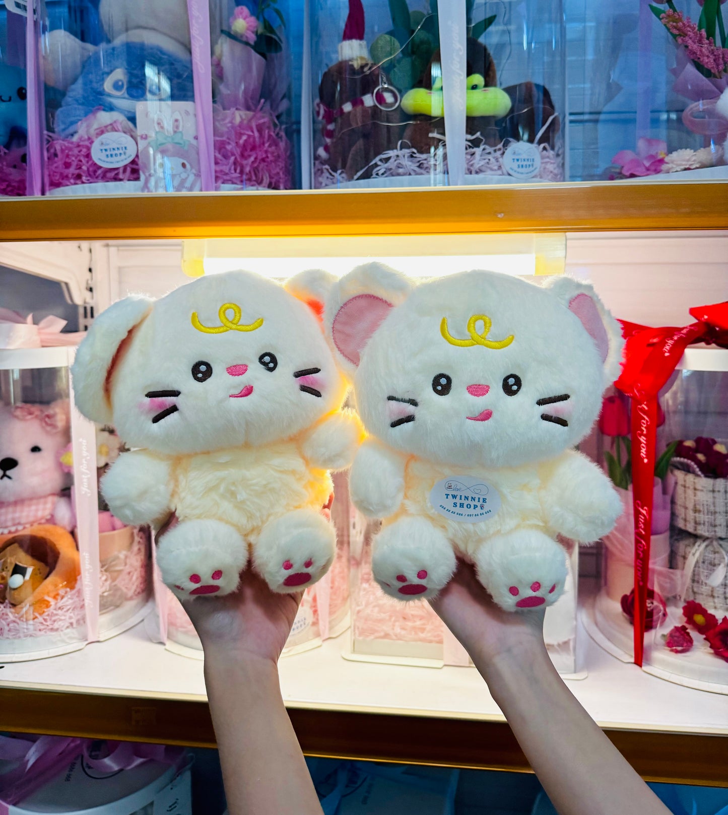 SD | Mouse