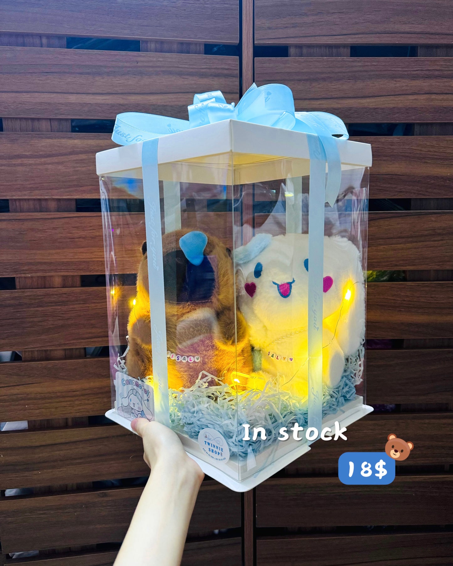 CPB | capybara Cinamoroll couple set