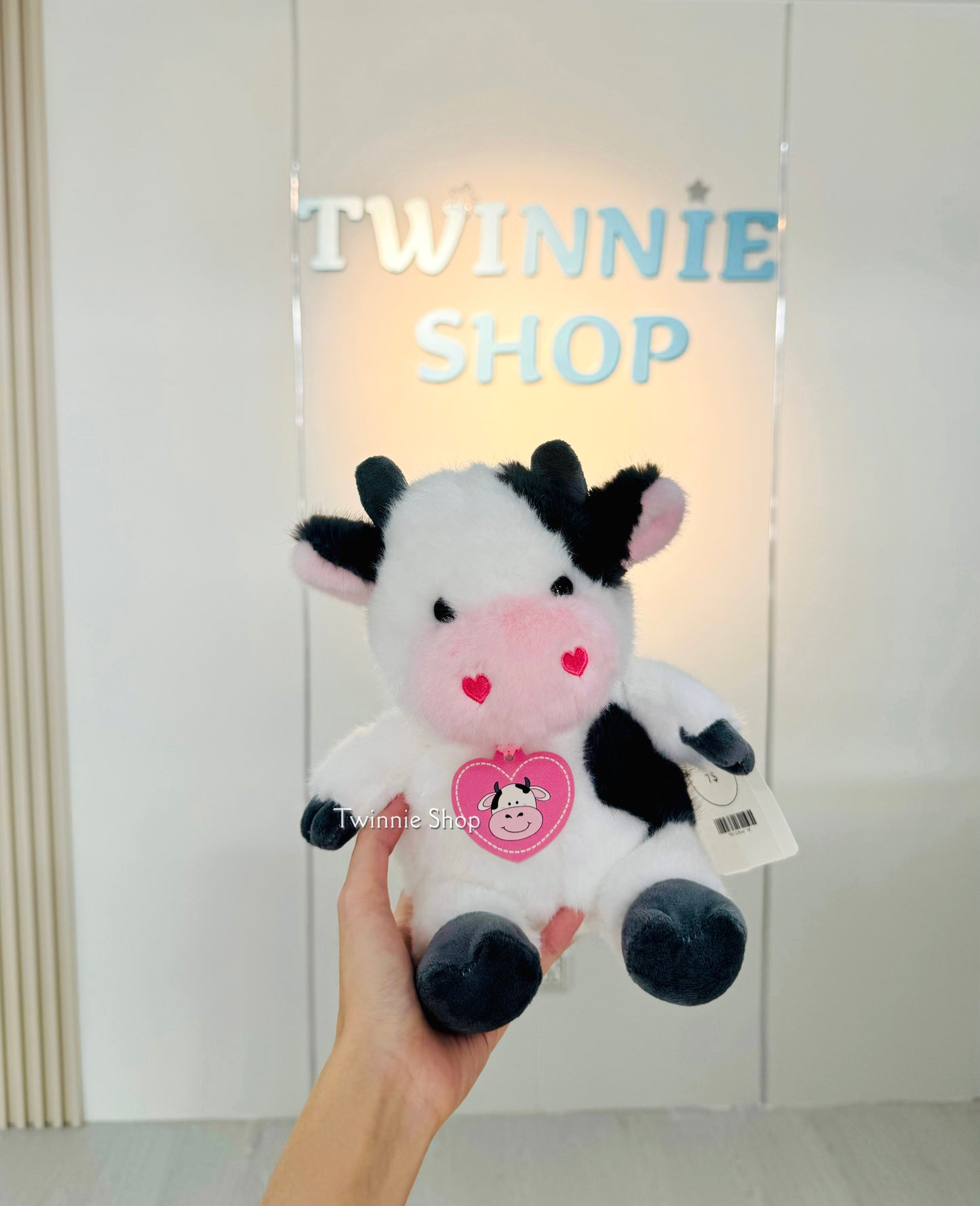 BT | Cow