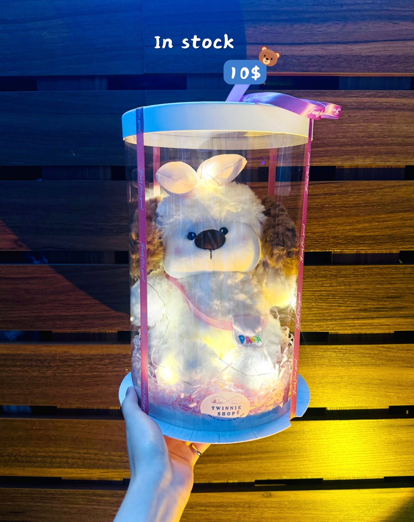 SRB10 | Puppy gift bag