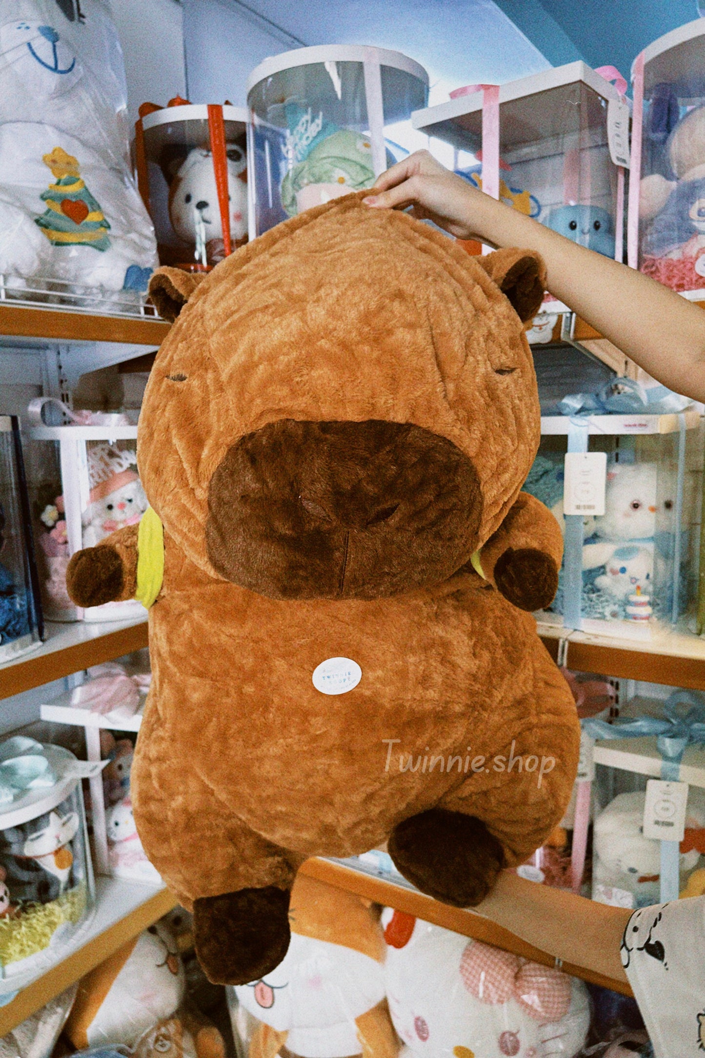BT | 110cm Capybara