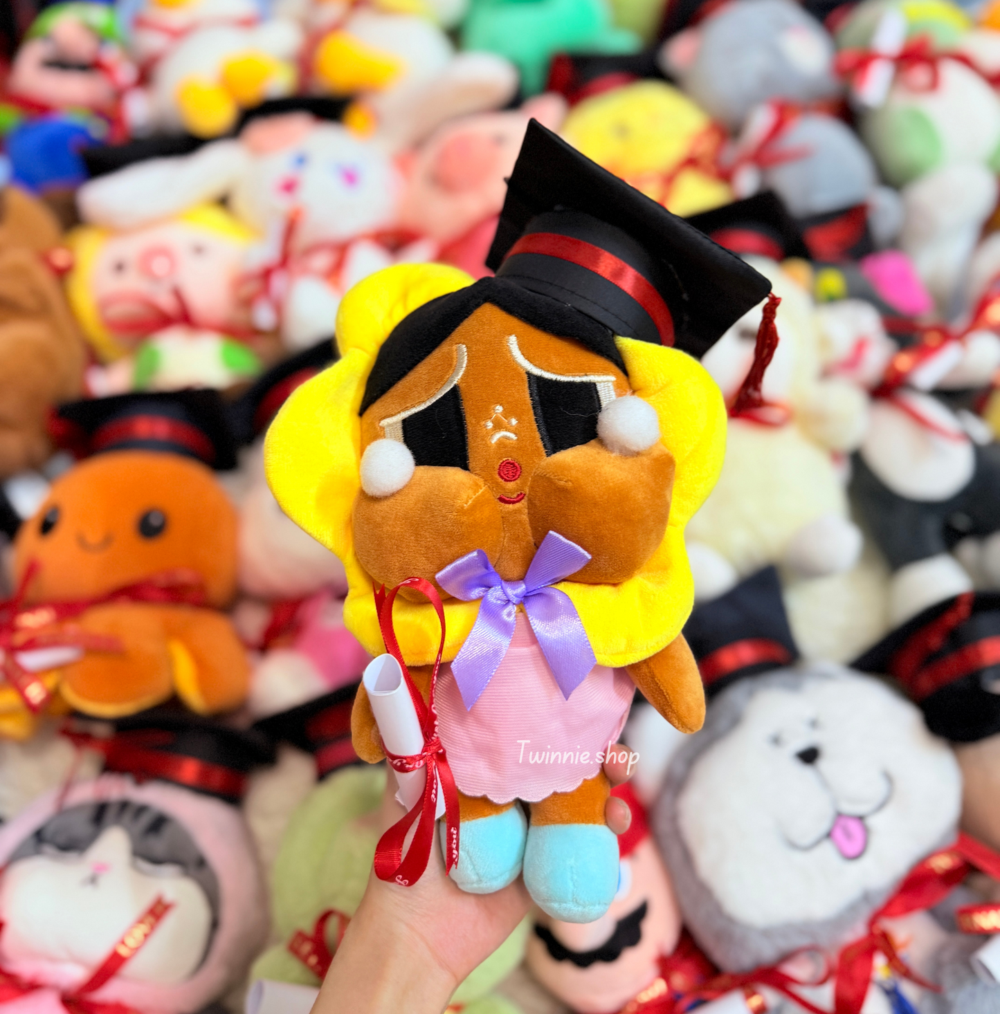 GRASD | Graduate Teddy