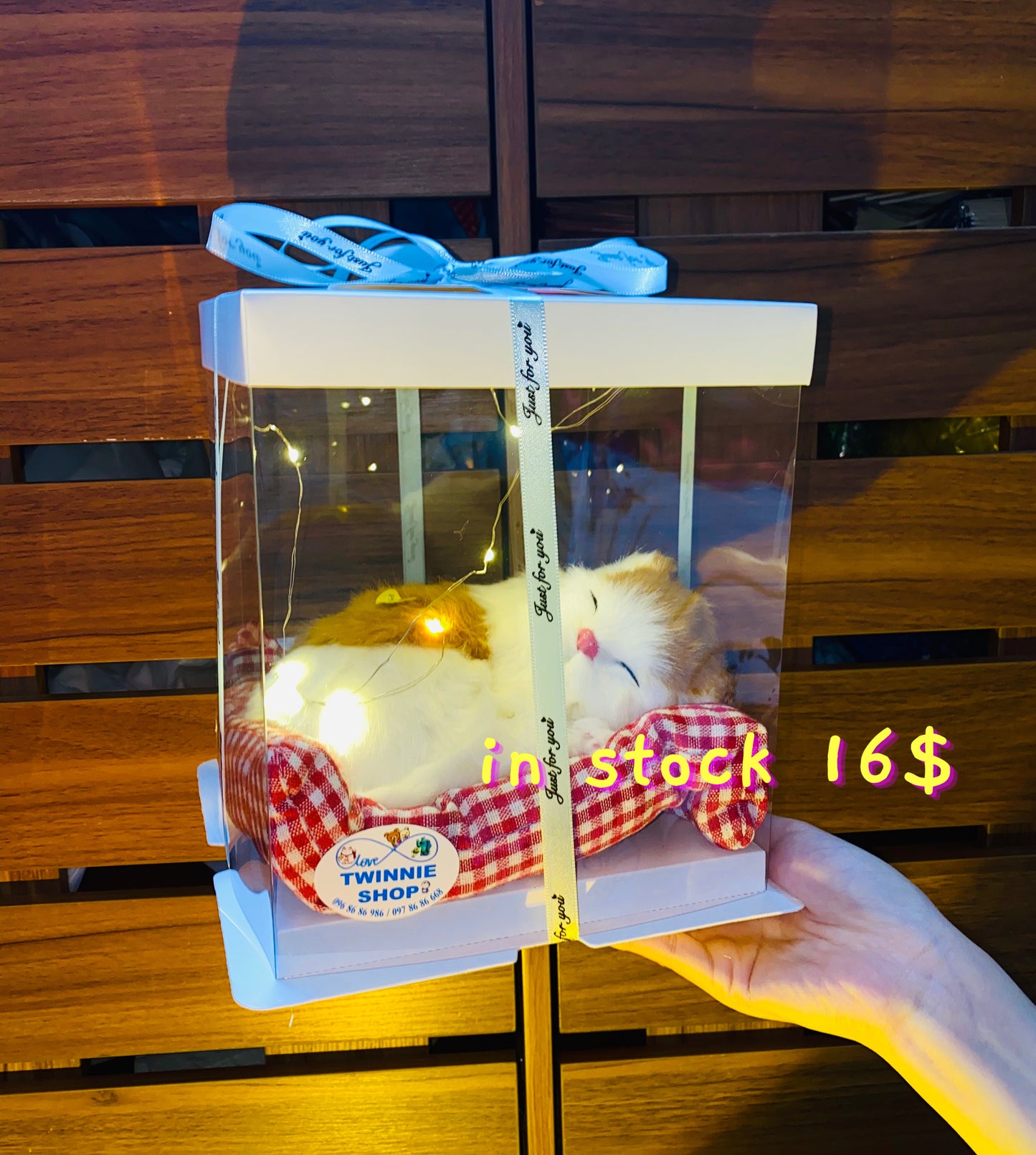 SRB16 | Sleep cat mini box