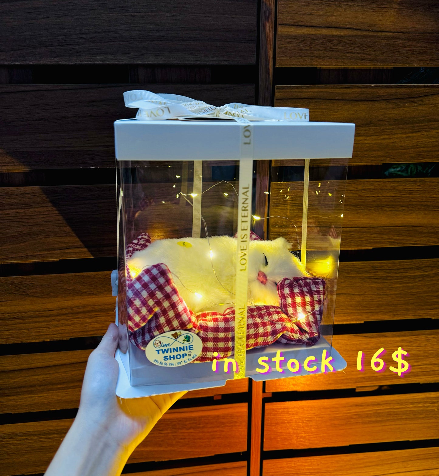 SRB | Sleeping cat gift box