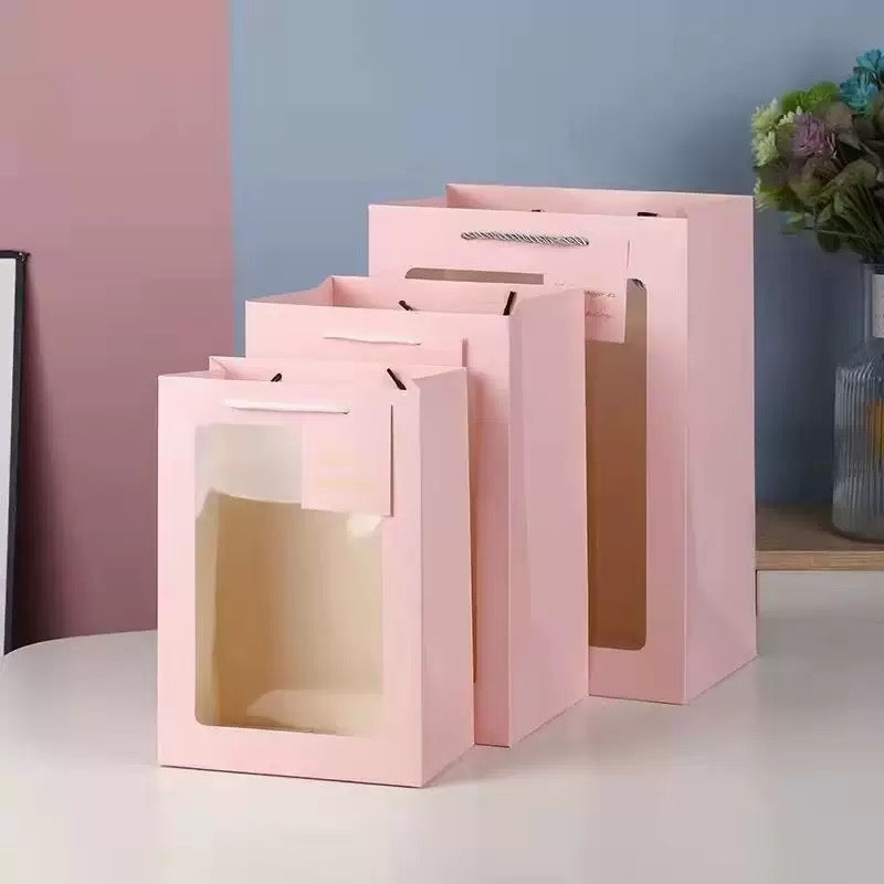 TNS clear gift bag