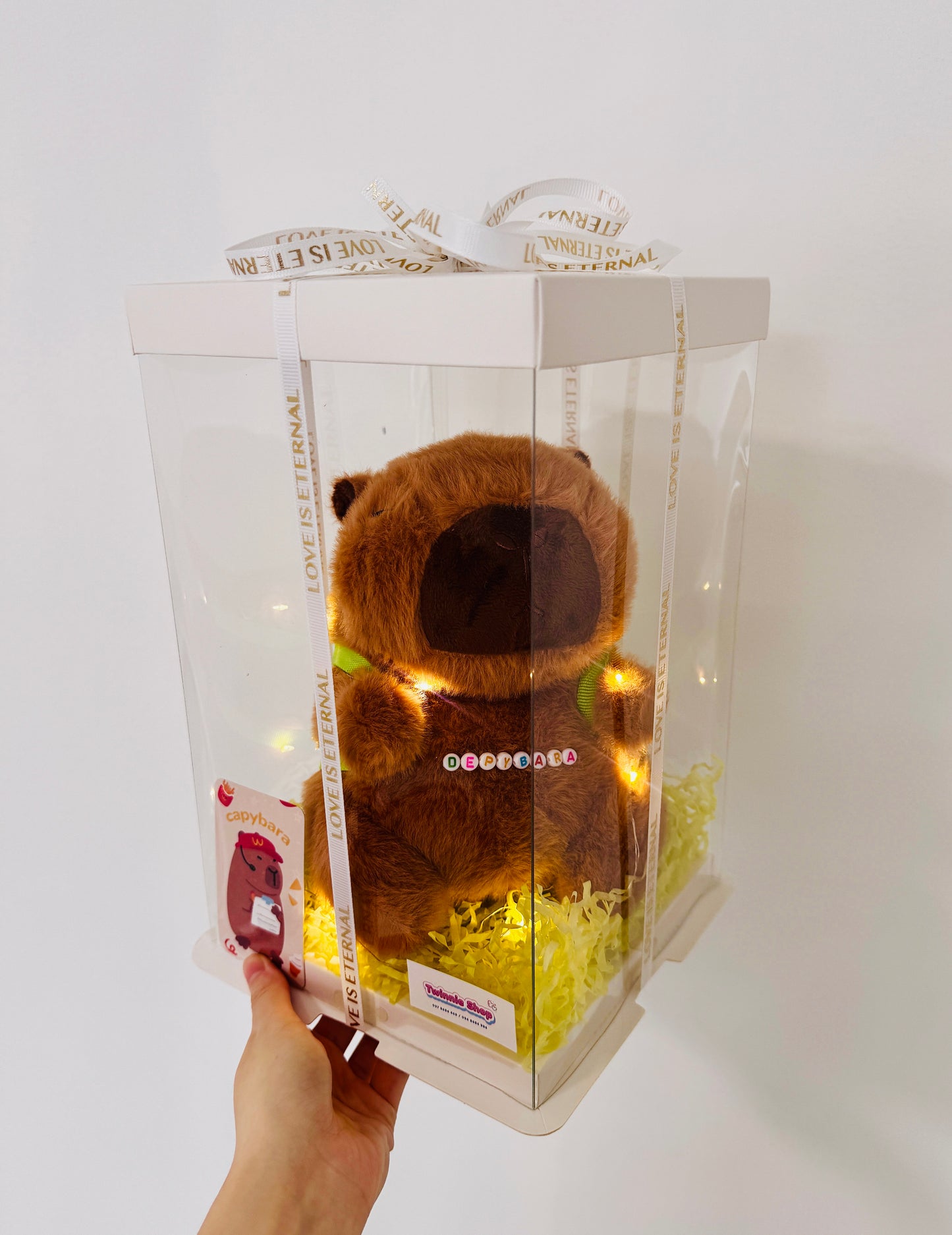 SRB10 | Capybara mini box
