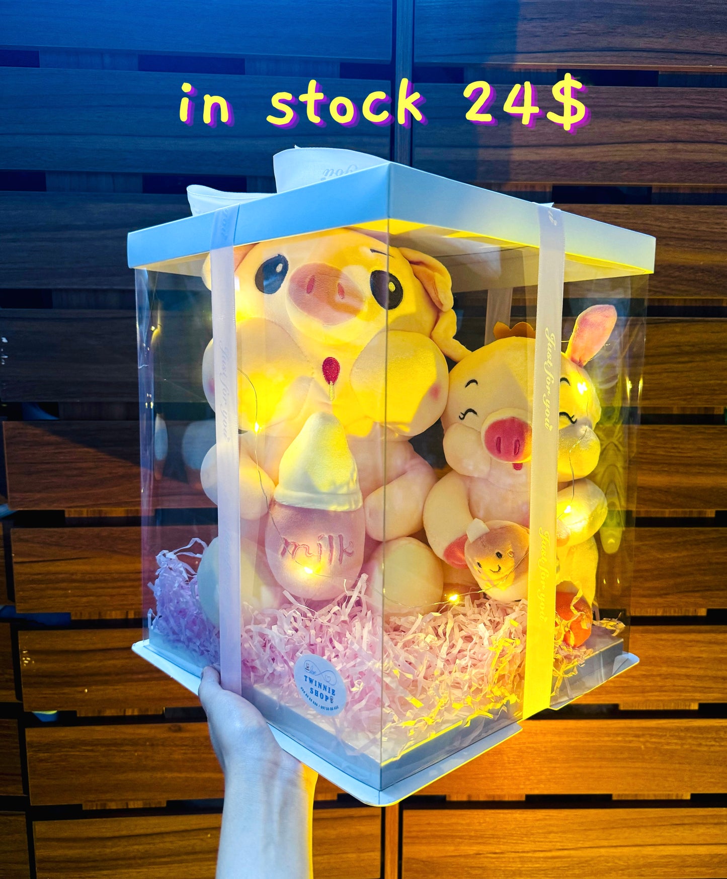 BB | Piggy mix teddy set