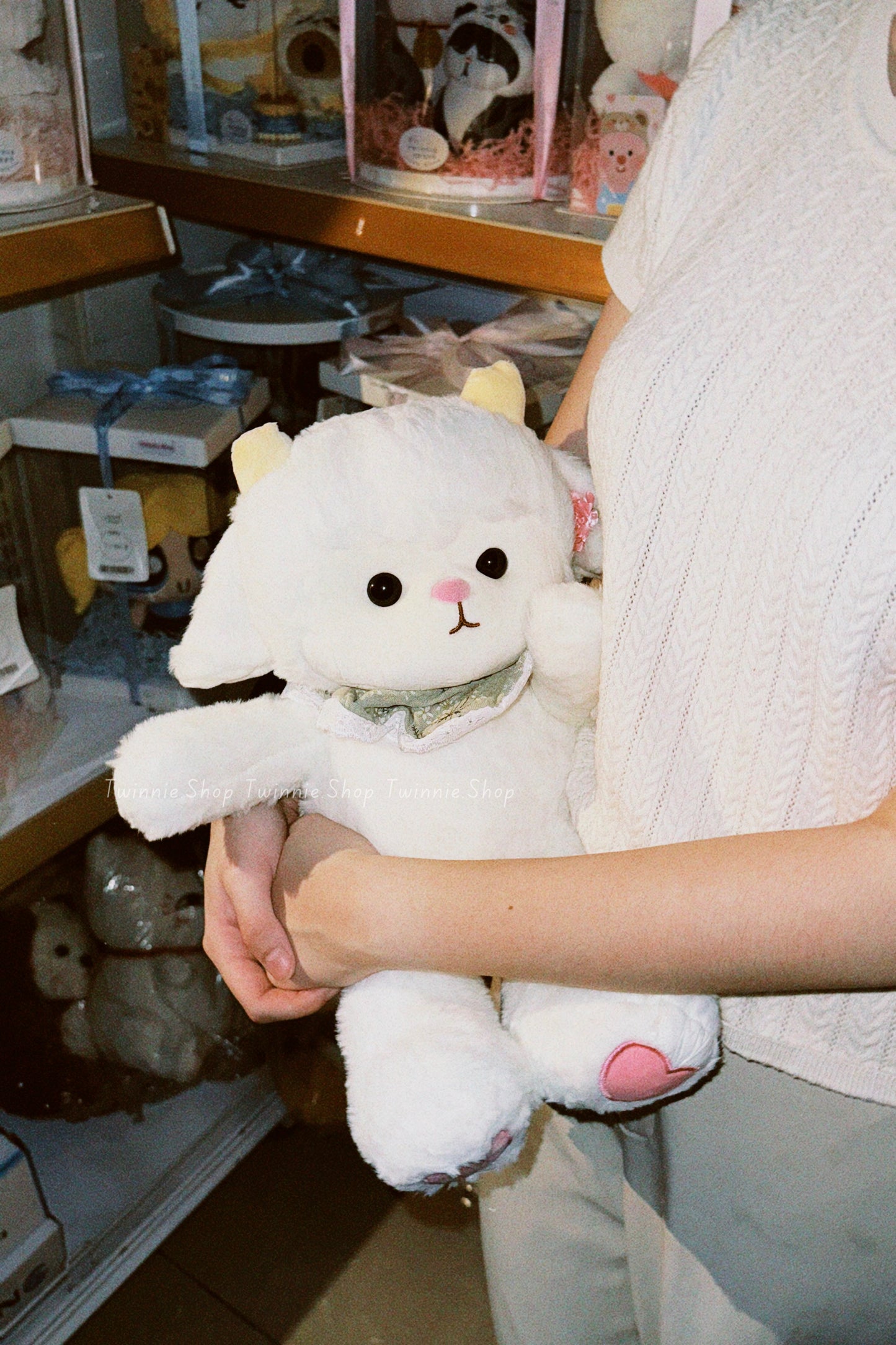 BT | Girly white sheep