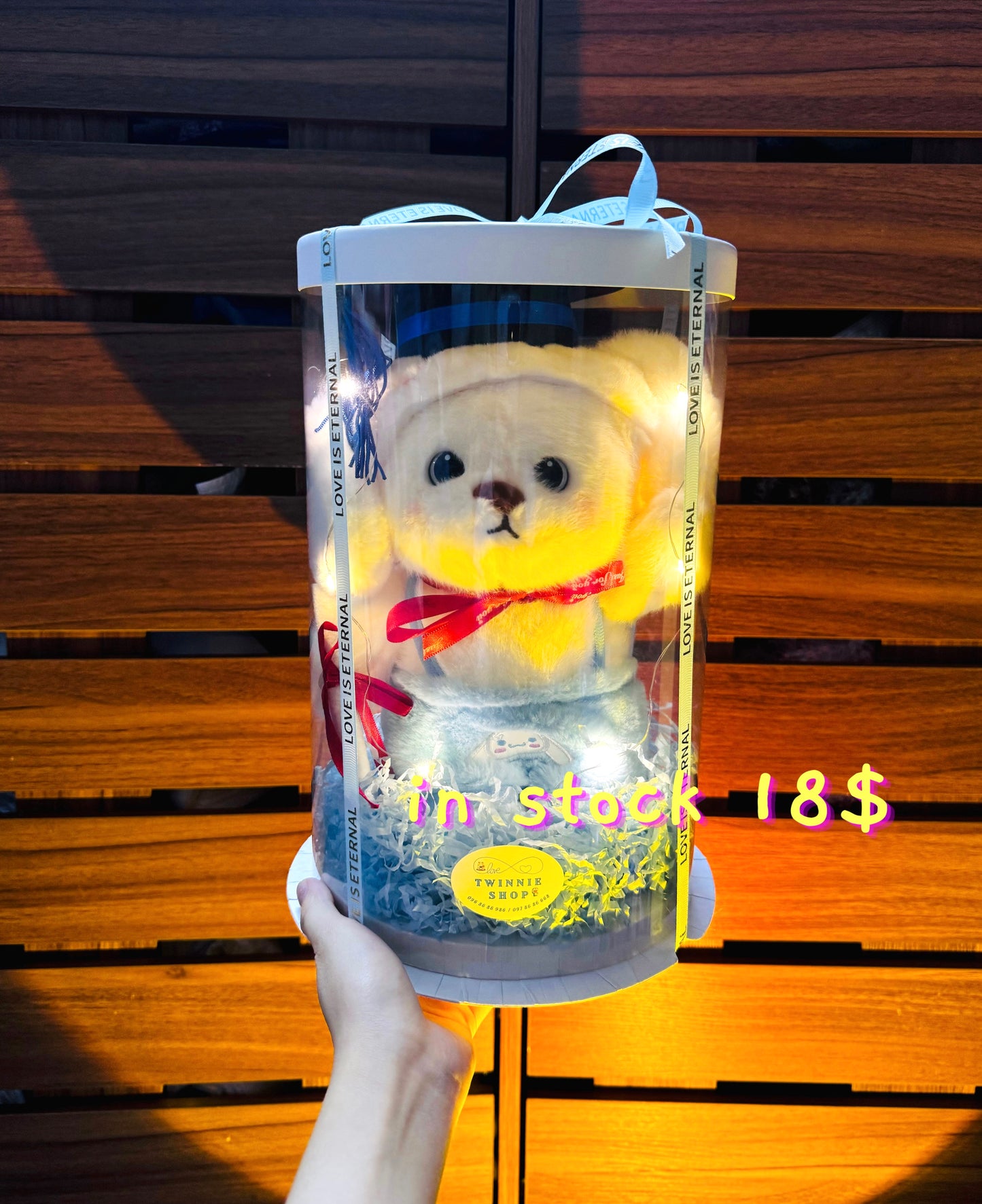 GRA | Cinamoroll bear graduate set