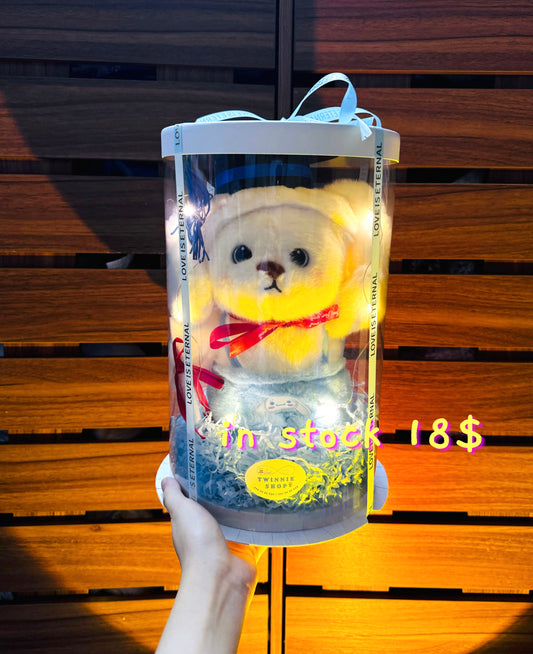 GRA | Cinamoroll bear graduate set