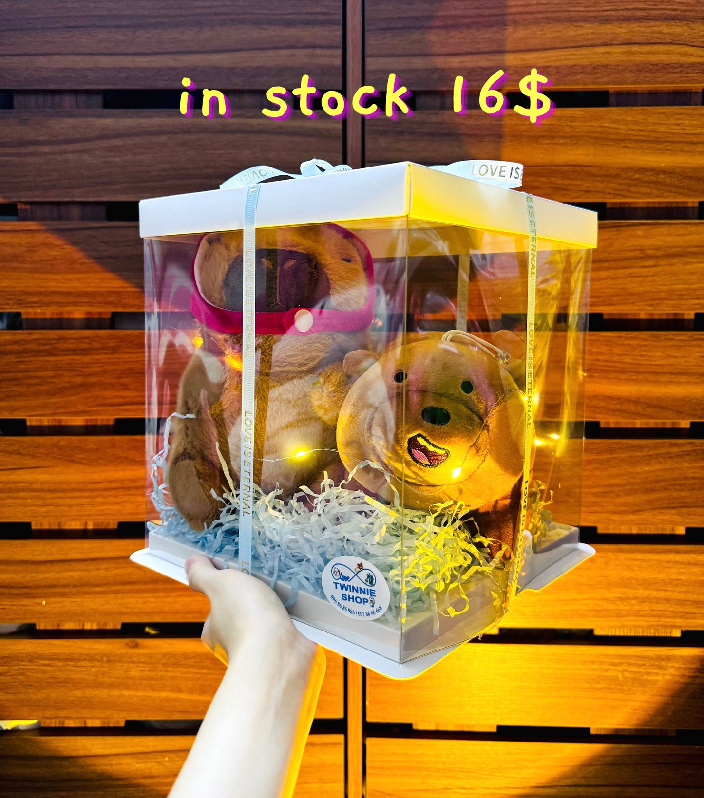 CPB | Capybara couple set