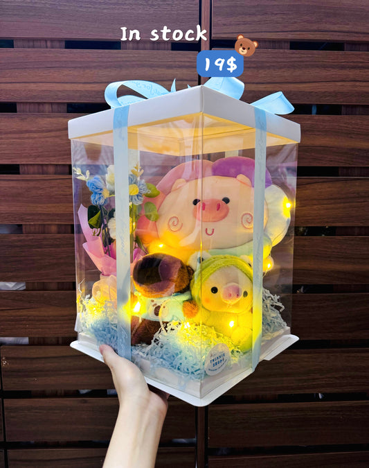 FML | Rainbow pig family box