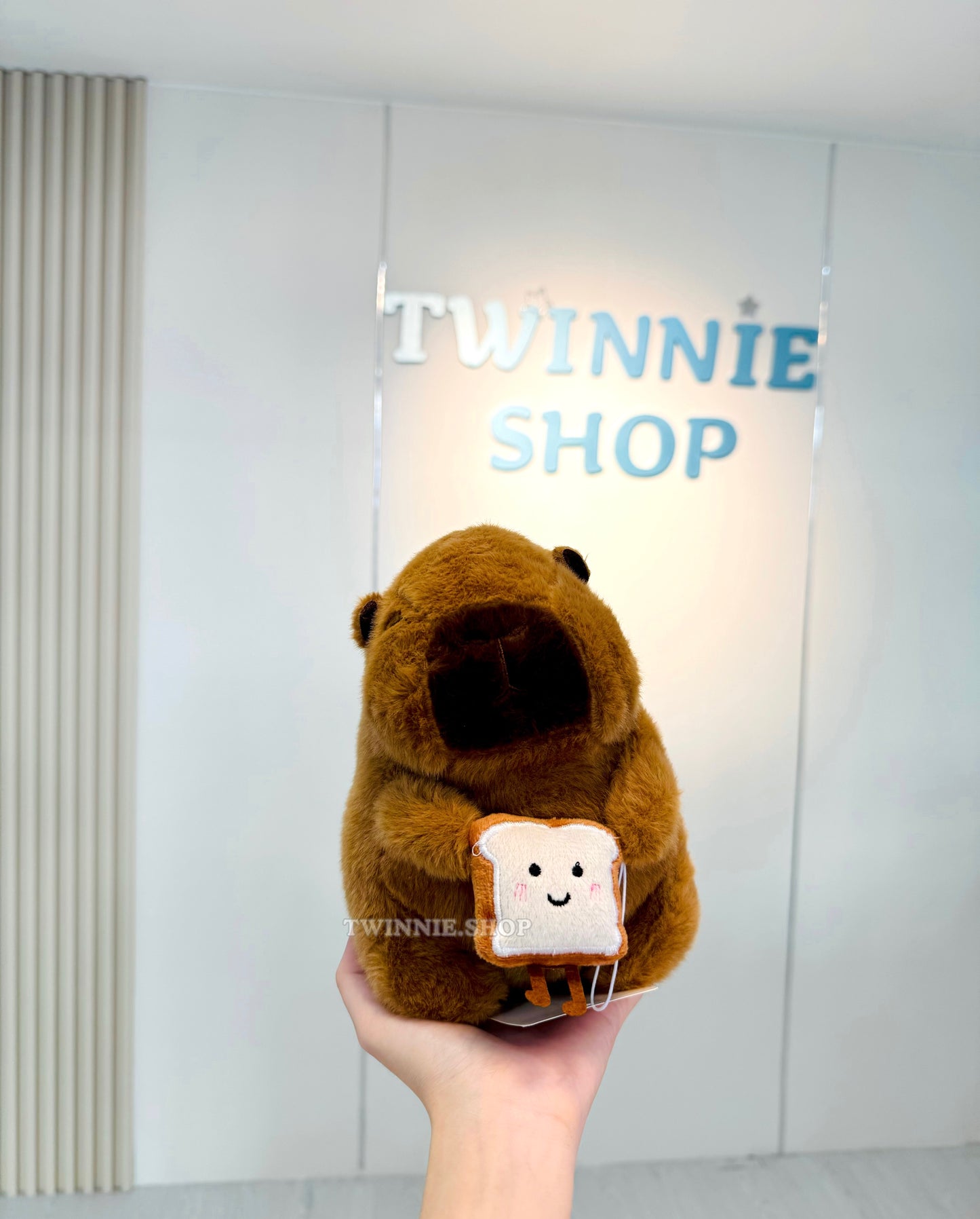 SD | Capybara