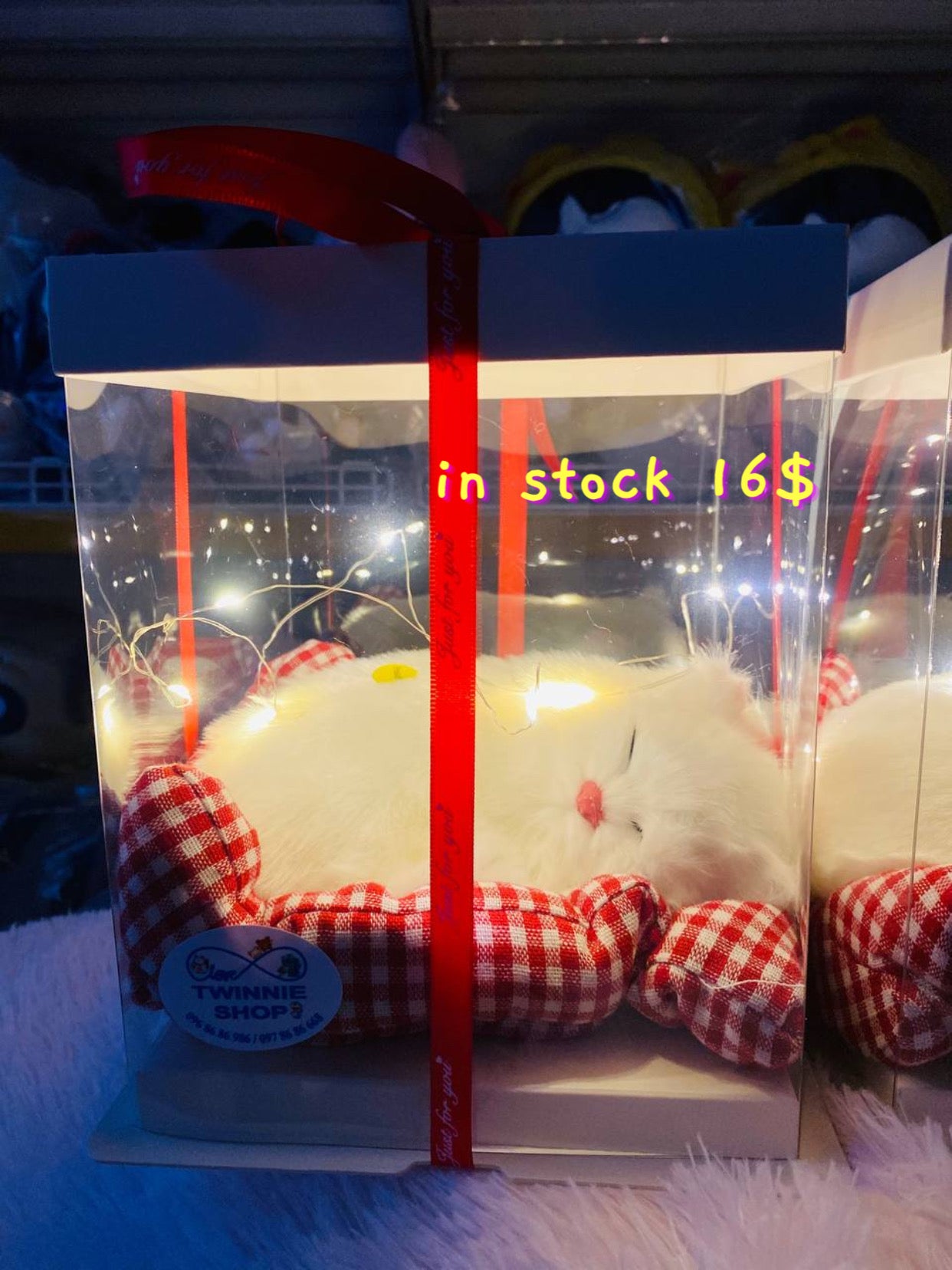 SRB | Sleeping cat gift box
