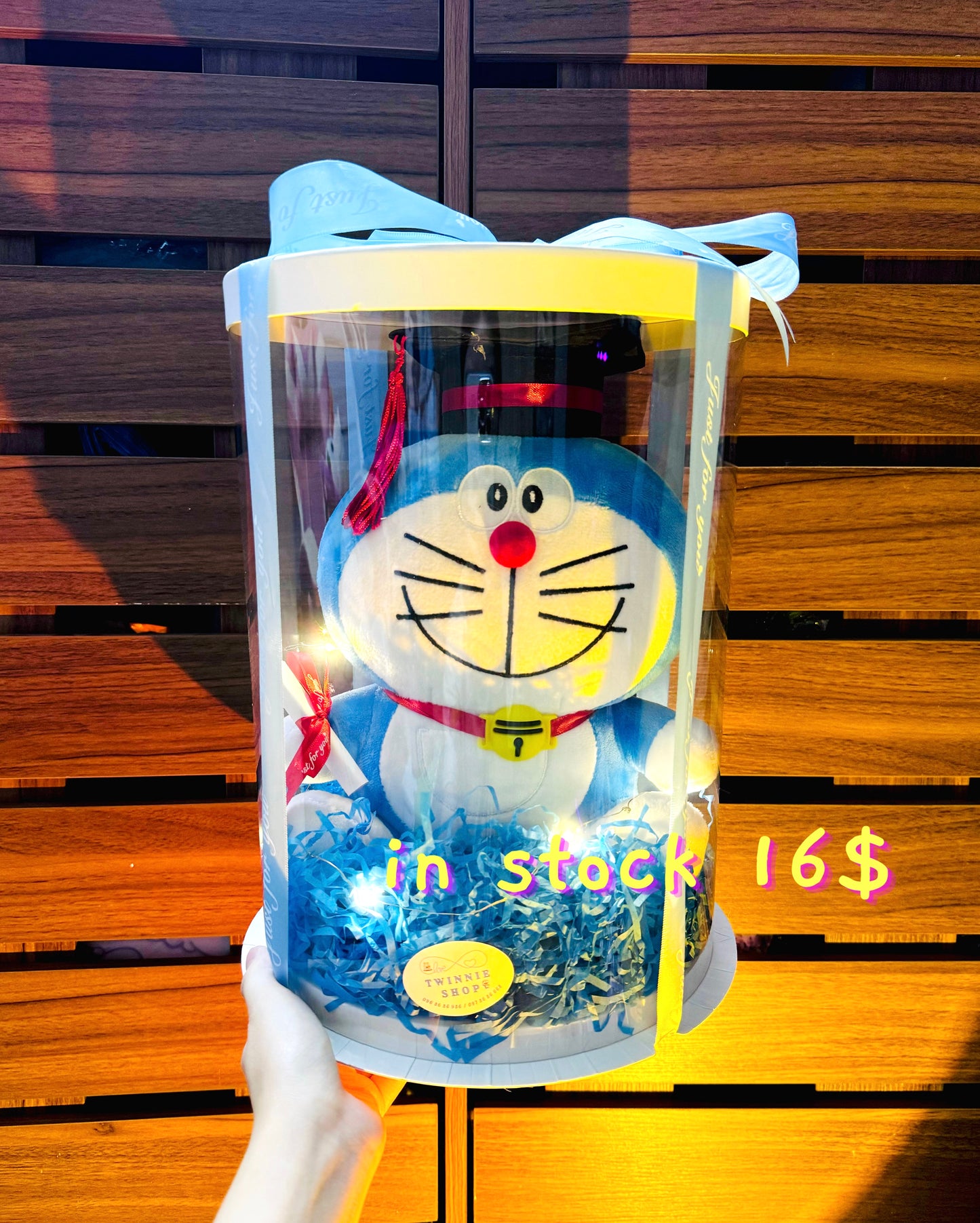 GRA | Doreamon graduate set