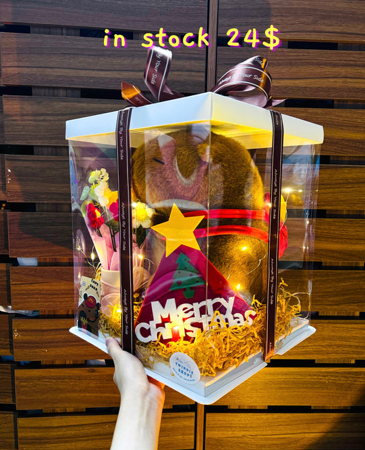 Xmas | Capybara Christmas set