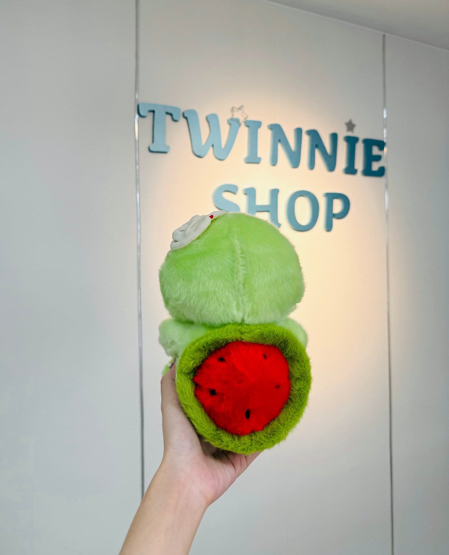 SD | Watermelon turtle