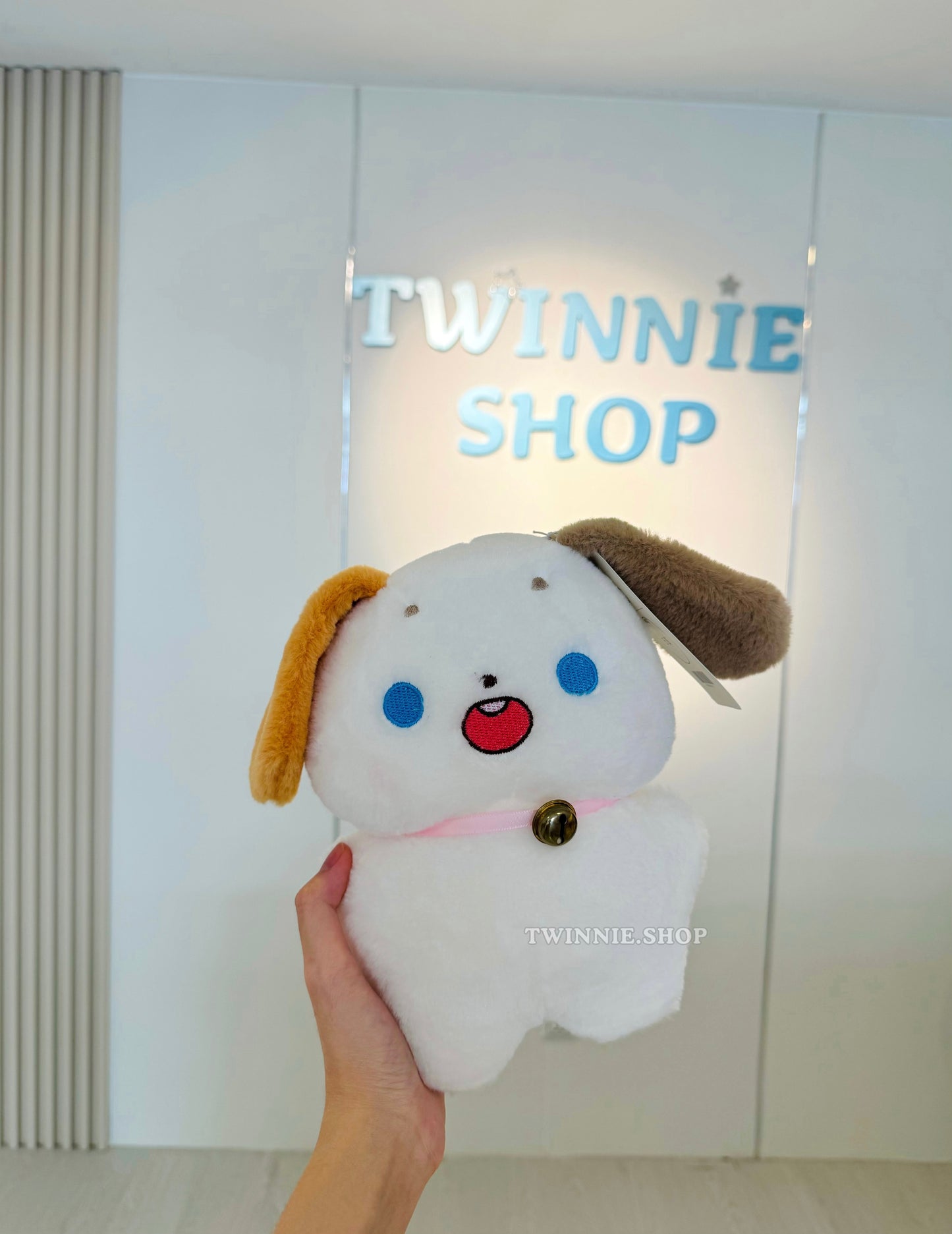 SD | White puppy