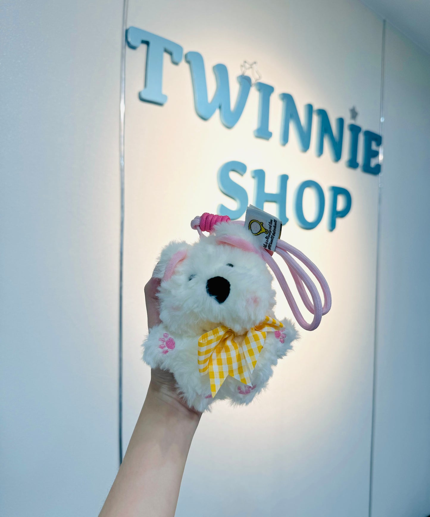 Mg | Ribbon puppy keychain