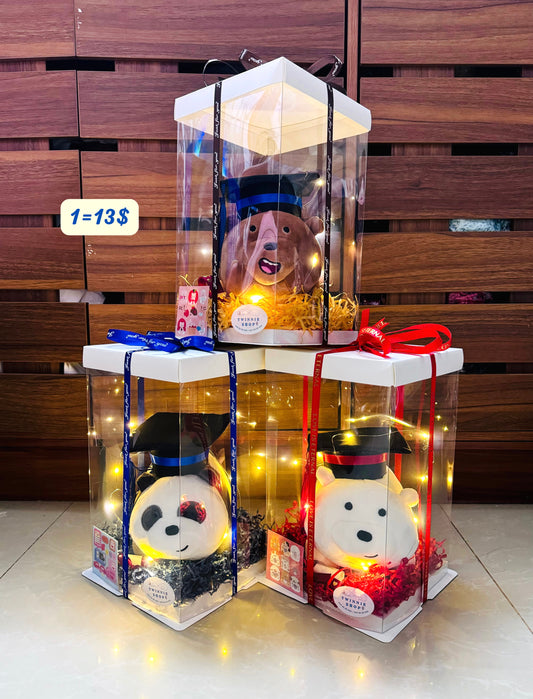 GRA | we bare bear graduate small box