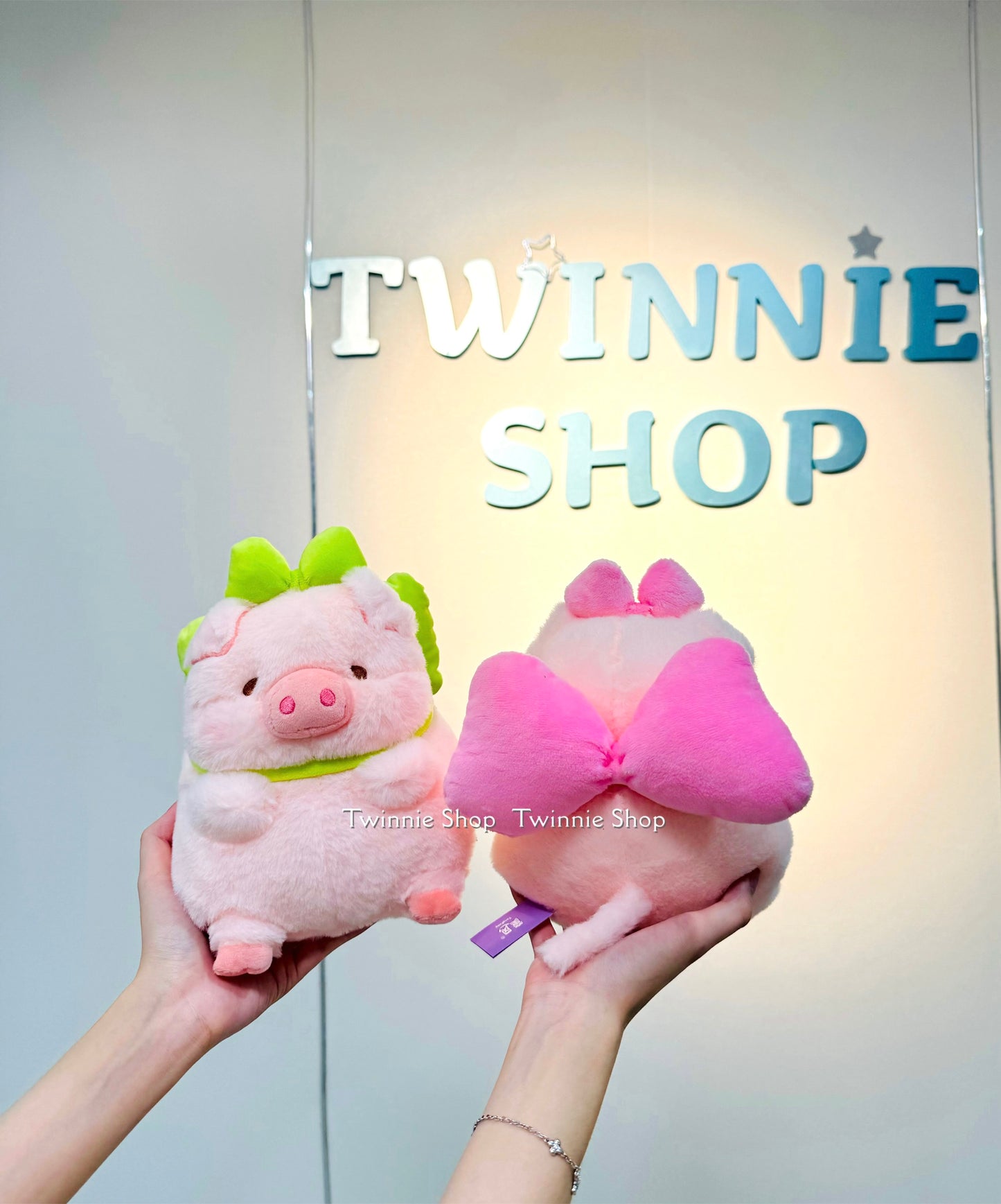 SD | Ribbon piggy