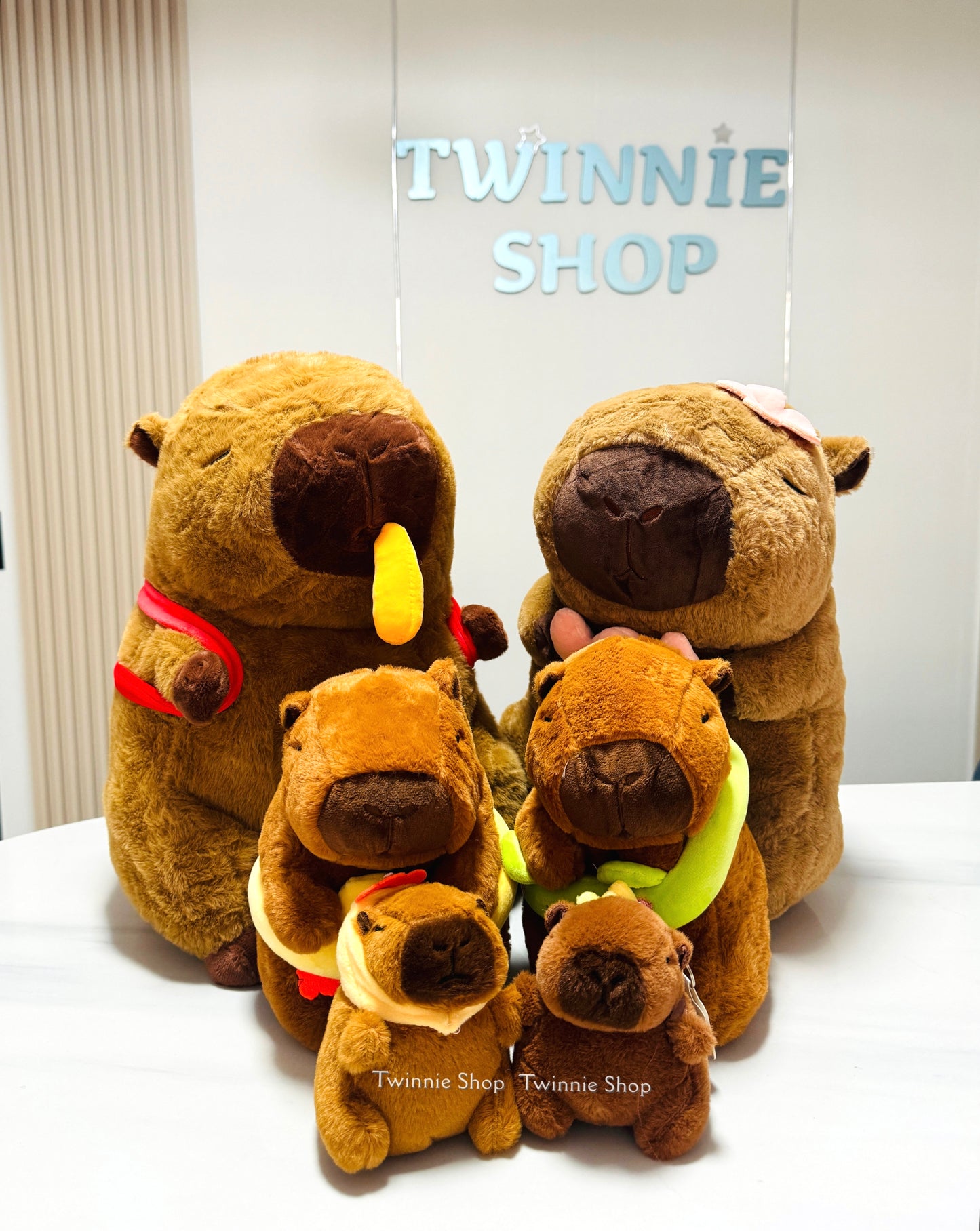 BT | Capybara big family