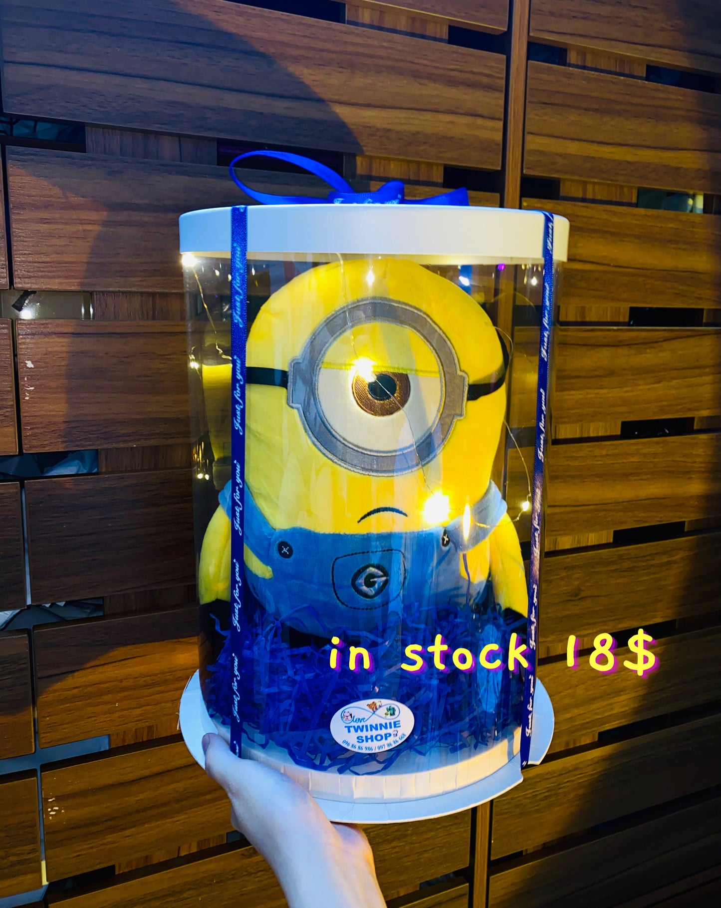 BB | Minion big set