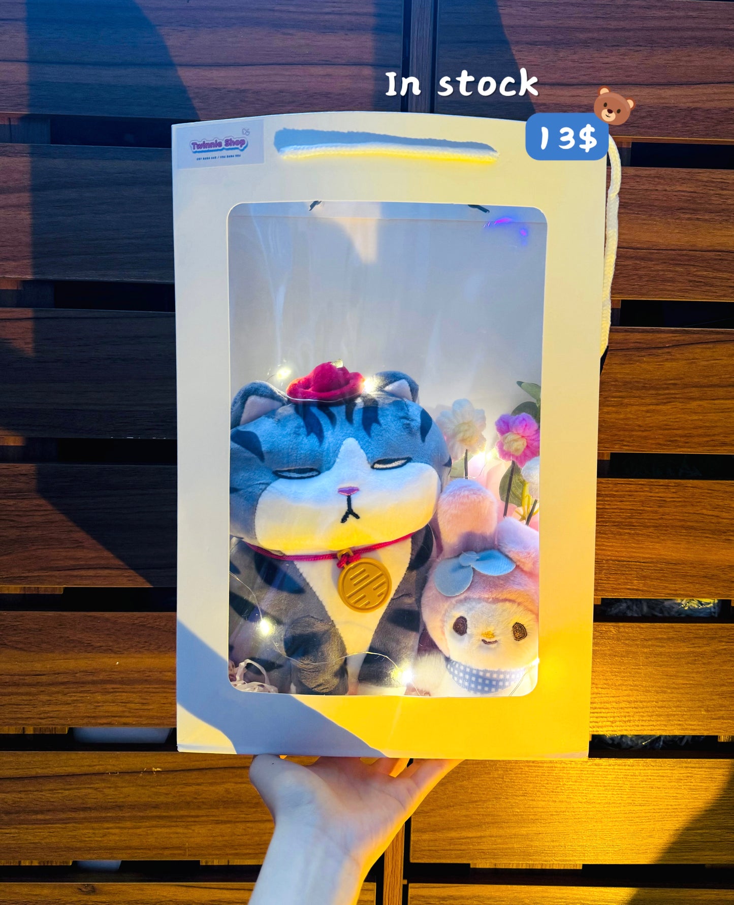 SRBM | Moody cat mix gift bag