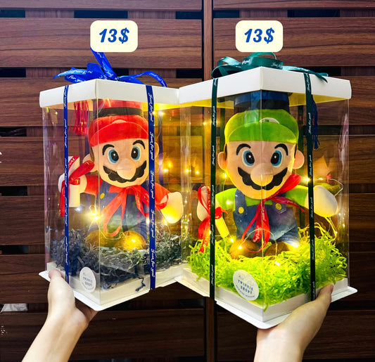 GRA | Mario graduate set