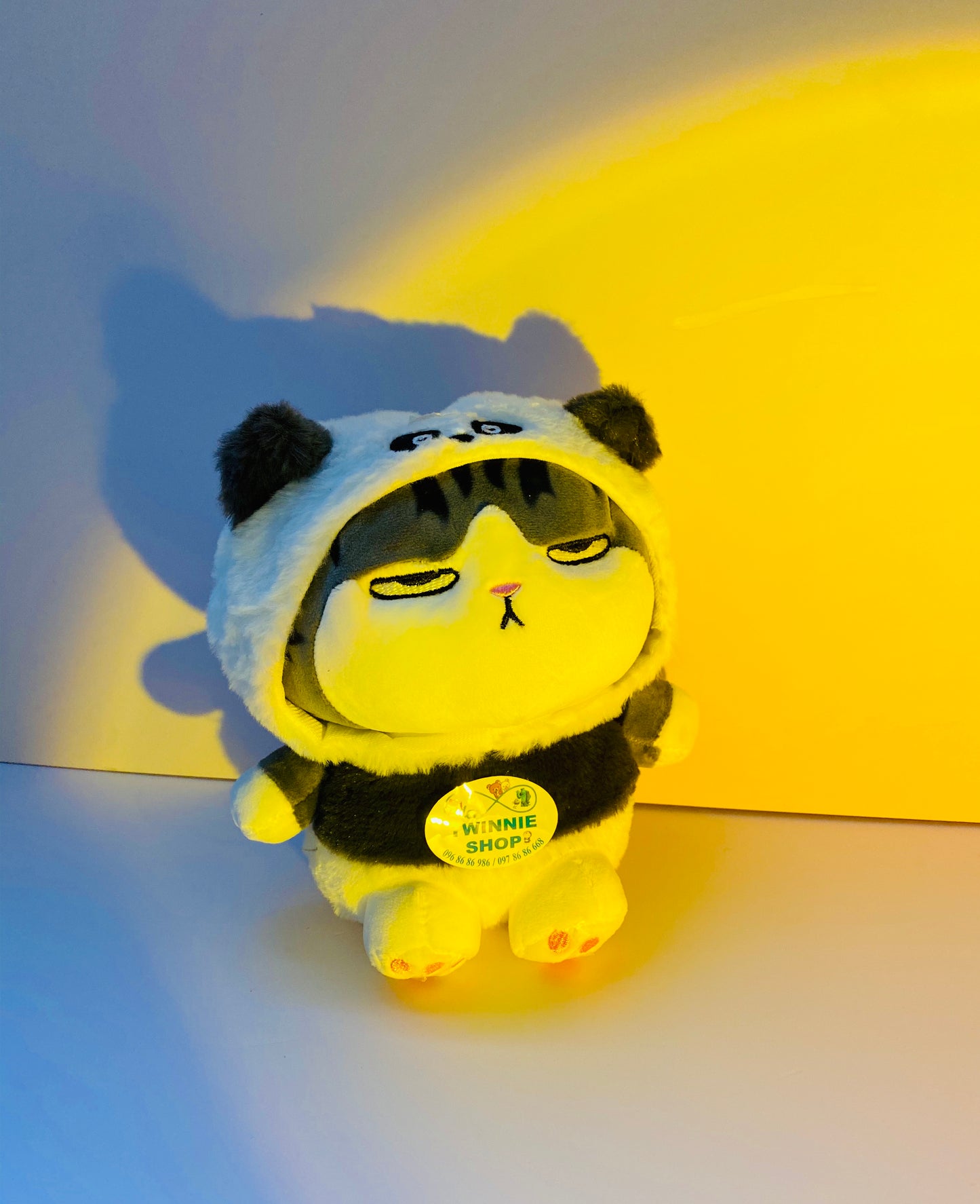 SD | Cat