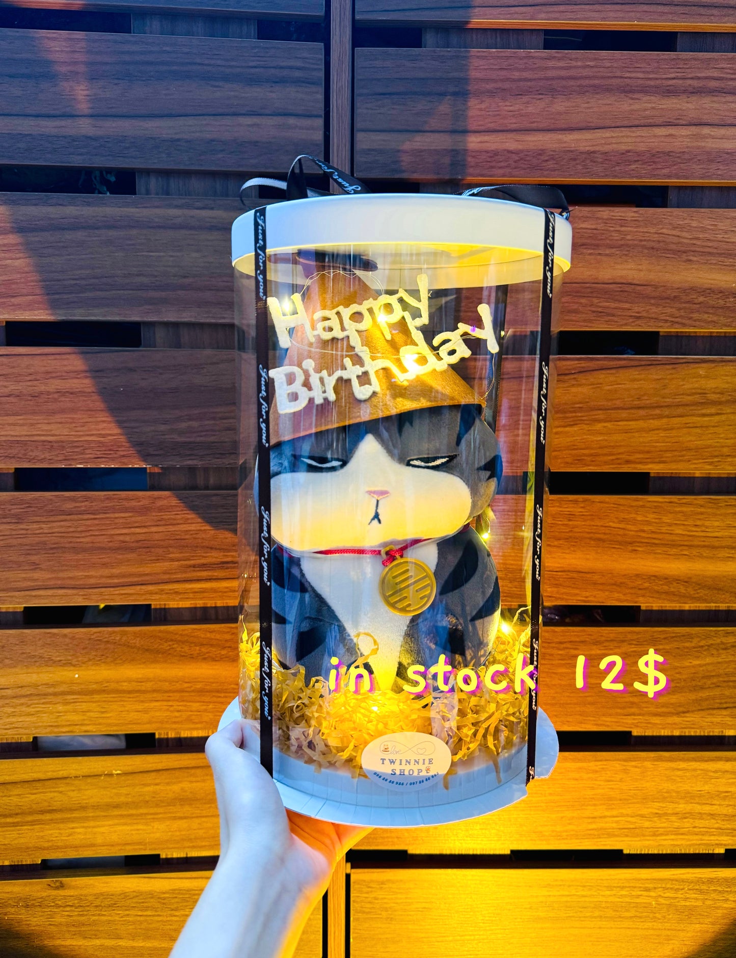 SRBBD | moody cat birthday box