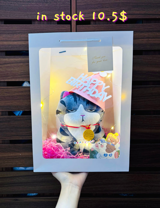 BD | Cat birthday gift bag