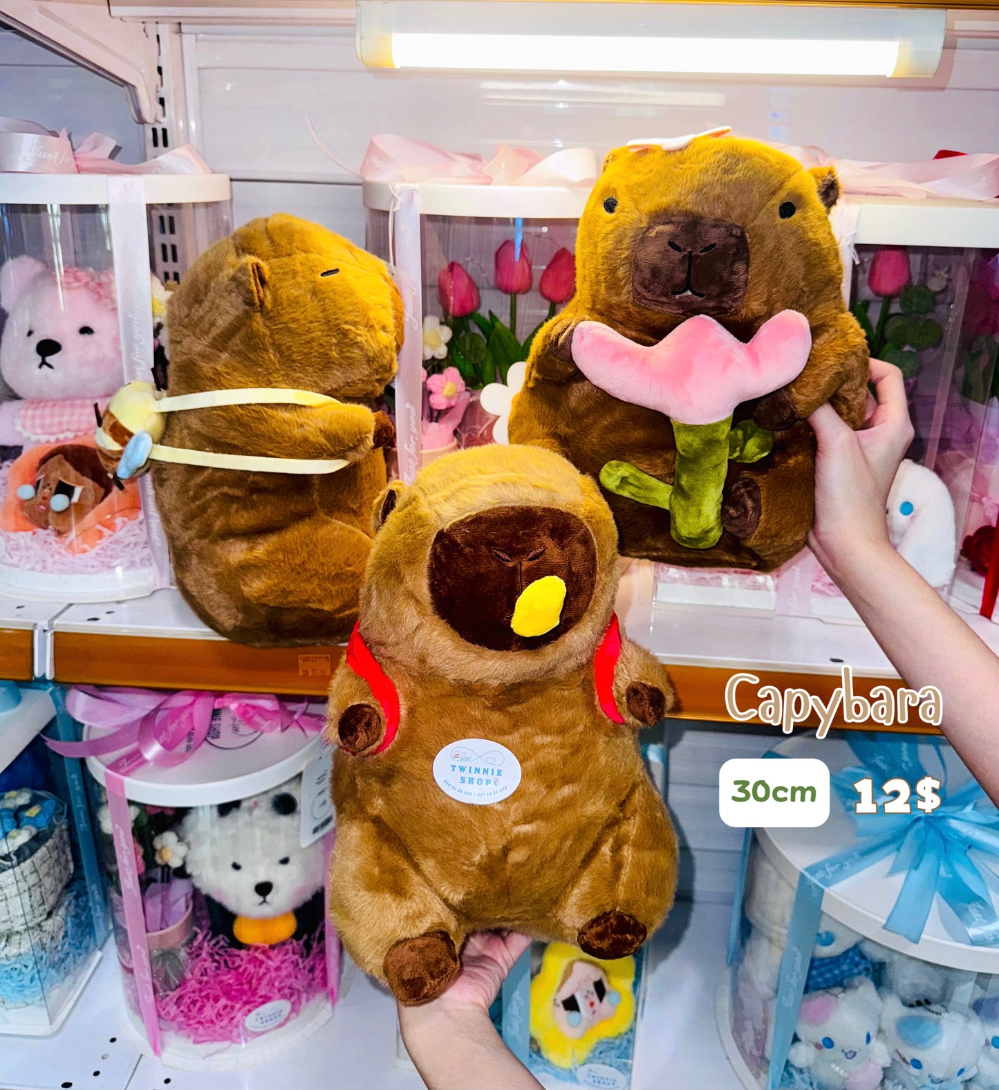 BT | Capybara 30cm
