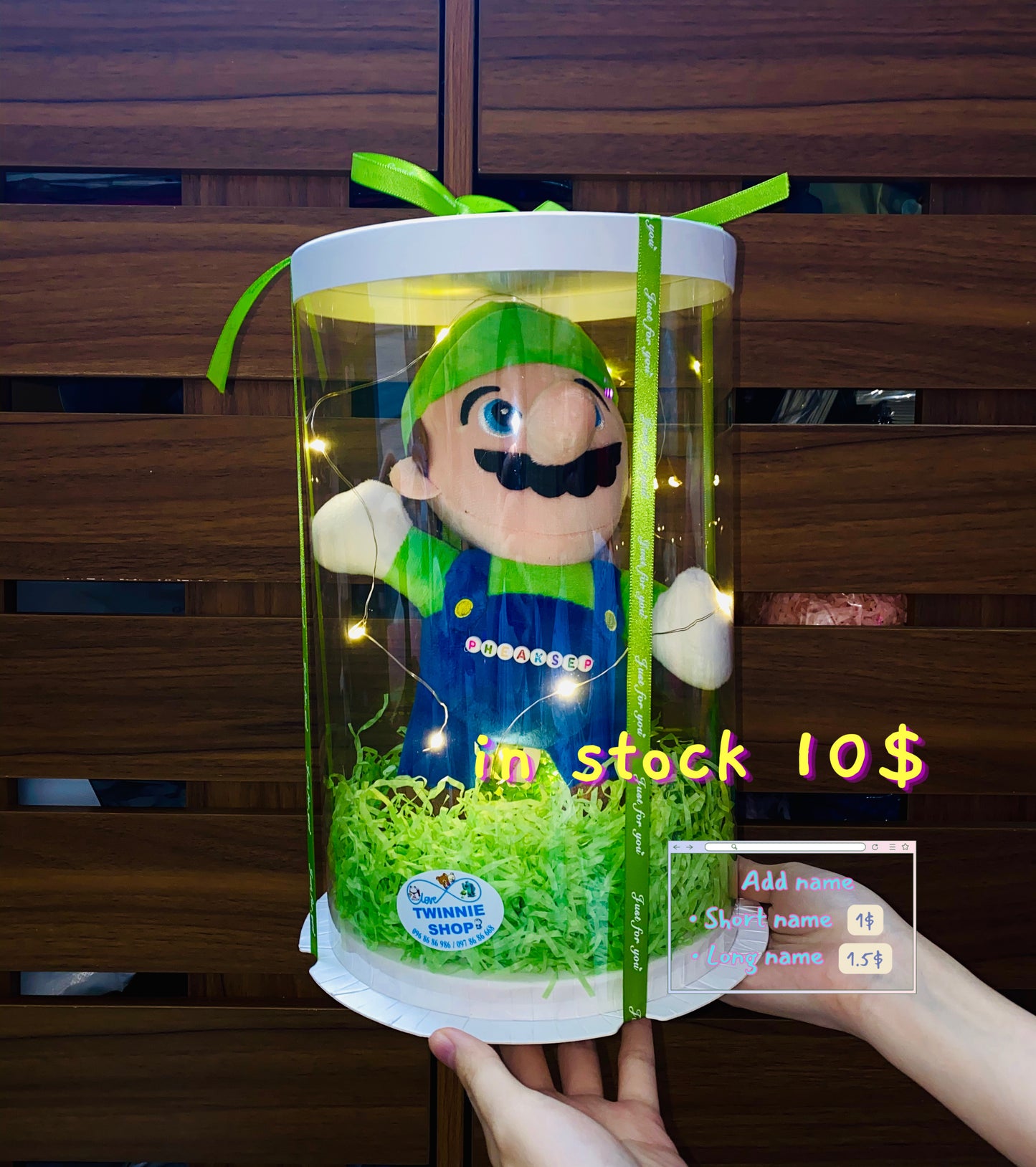 Mario / Luigi