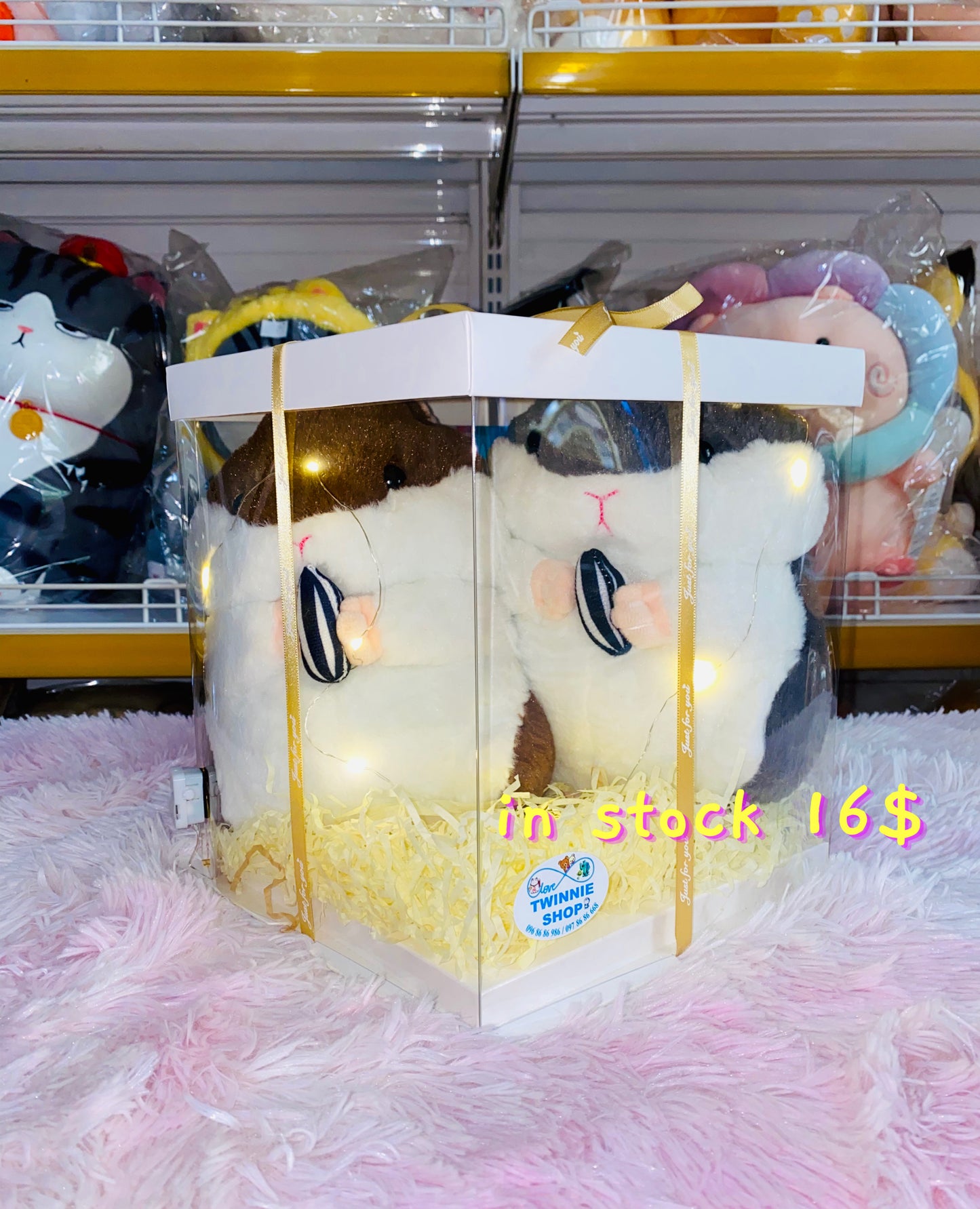 CPB | Hamster couple set