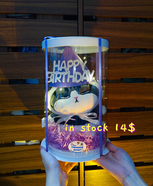 SRBBD | cat birthday box skin cat