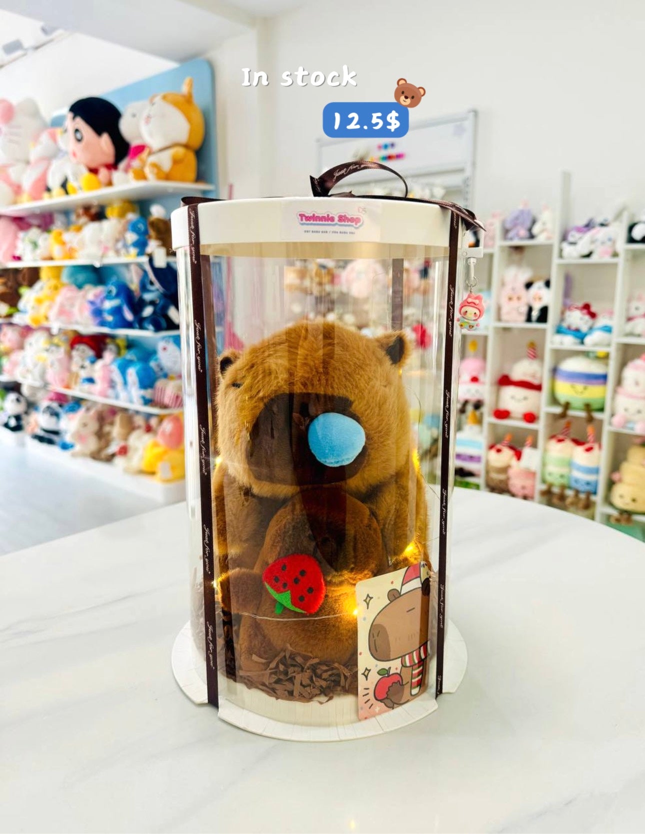 SRBK | Capybara mix keychain set