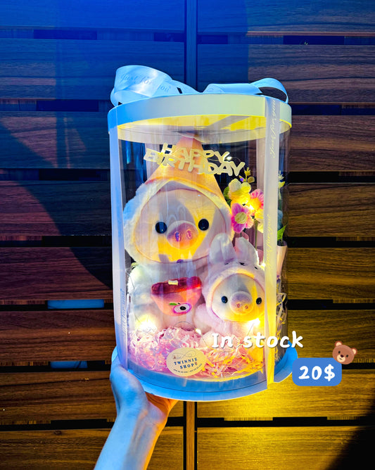 BD20 | Piggy birthday box