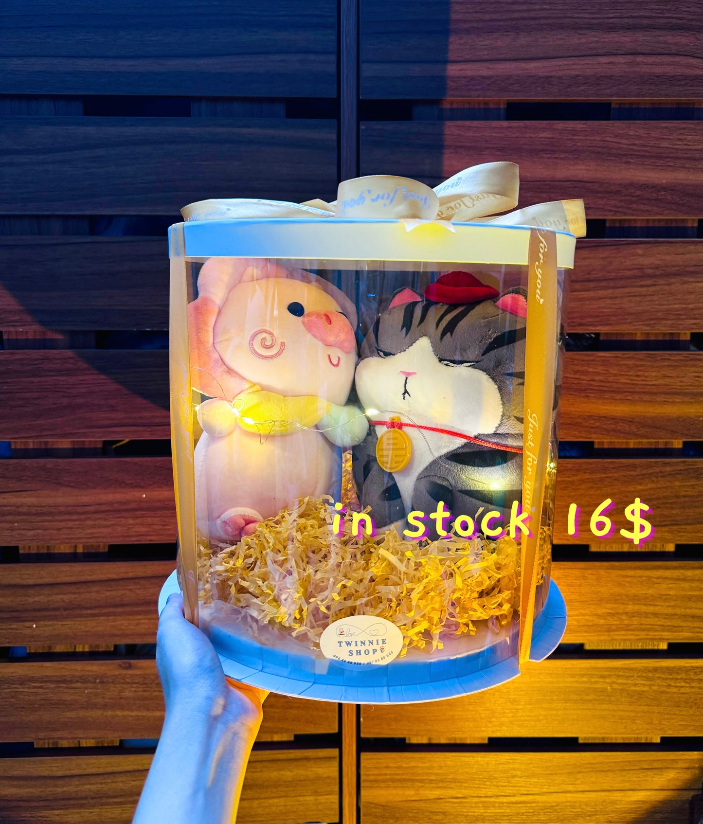 CPB | Cat Pig couple set