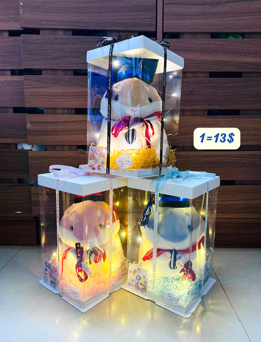 GRA | Graduate hamster set