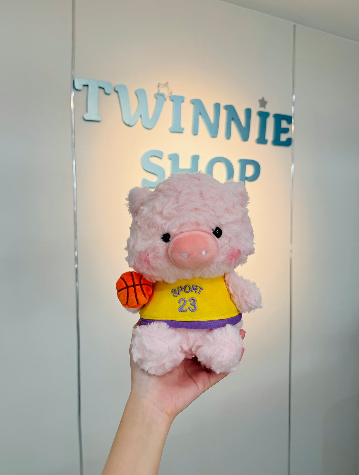 SD | Football piggy