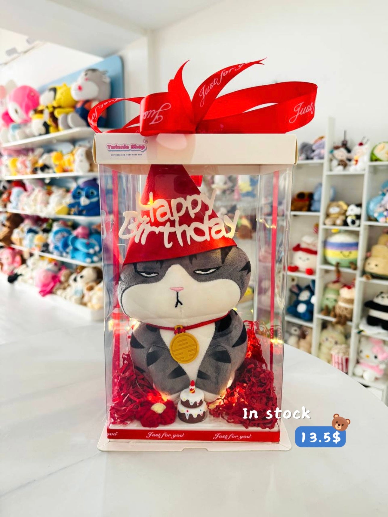 SRBC | Moody cat birthday set